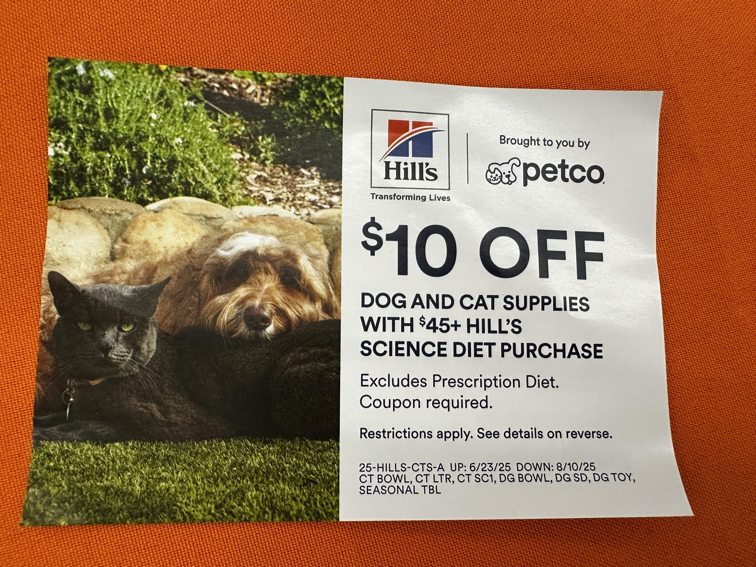 How Much is Grooming for Cats at Petco