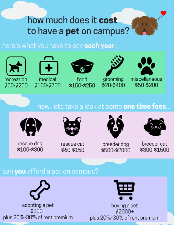 How Much Money Does a Cat Breeder Make Per Year: Revealed!