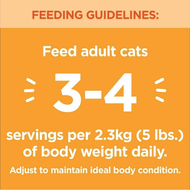 How Much Wet Food Do I Feed My Adult Cat: Expert Feeding Guide