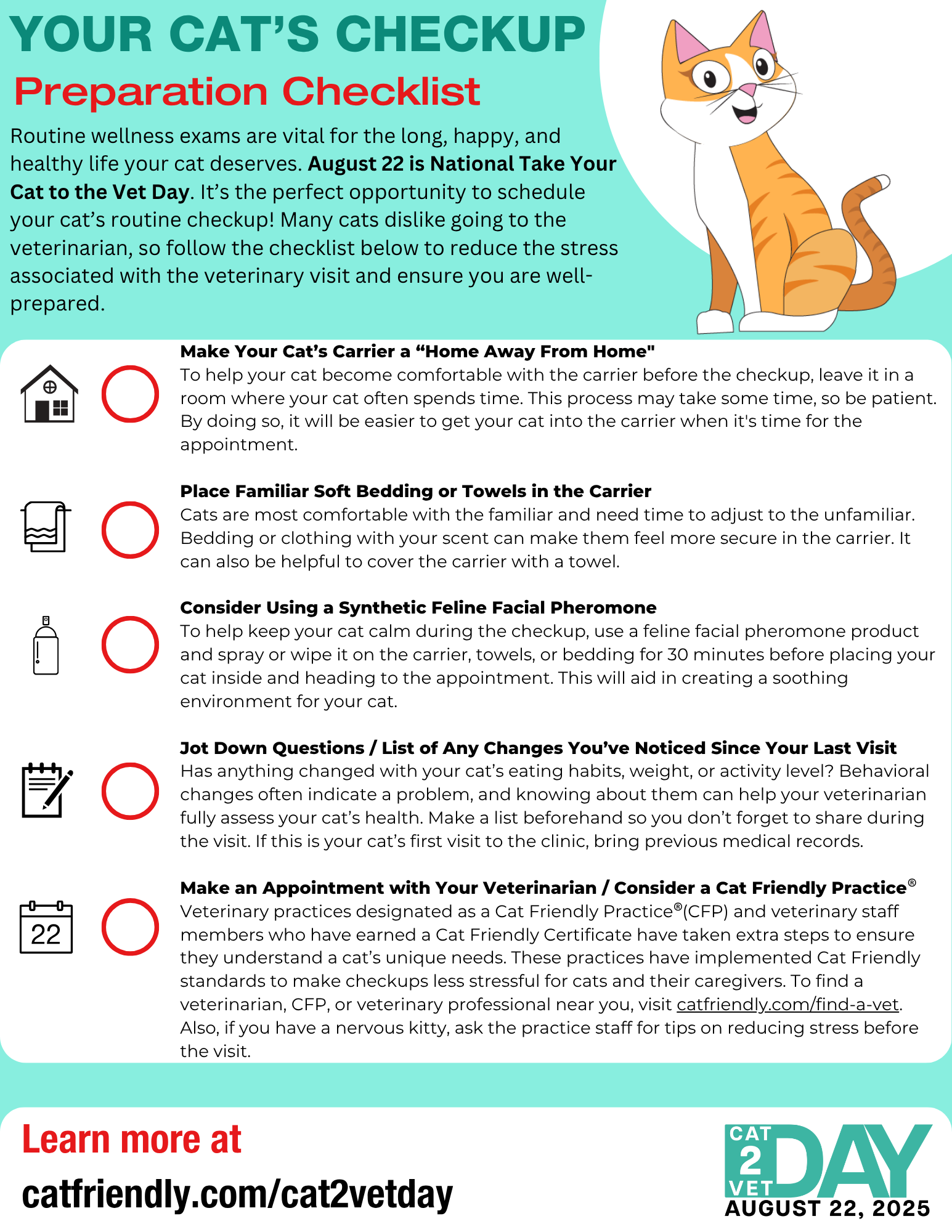 How Often Does Cat Owners Forget to Groom Their Cats: Shocking Truths Revealed