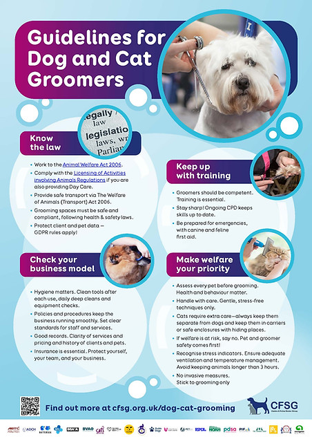 How to Become a Dog And Cat Groomer