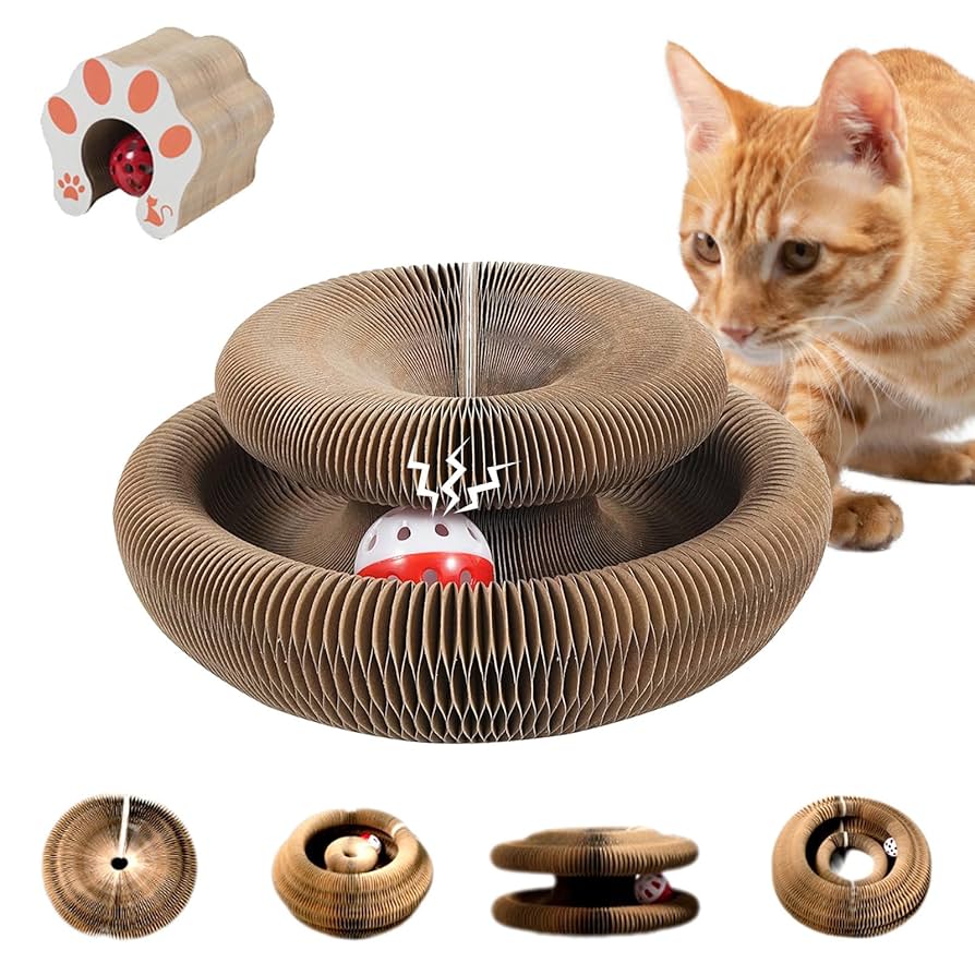 How to Change Cardboard Circle Cat Toy