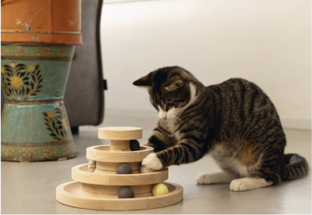 How to Choose Cat Toys