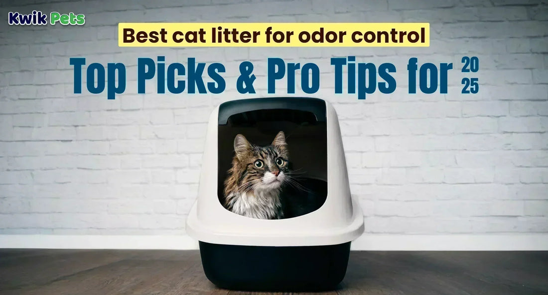 How to Control Cat Litter Box Odor: Easy Tips for Freshness