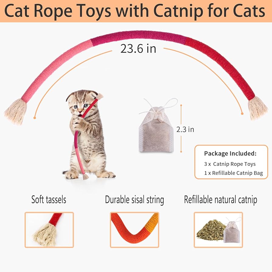 How to Encourage Cat to Bite Teething Toy