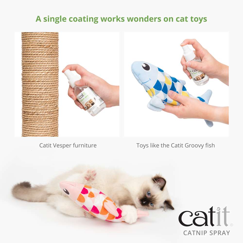 How to Get Catnip Out of Cat Toys