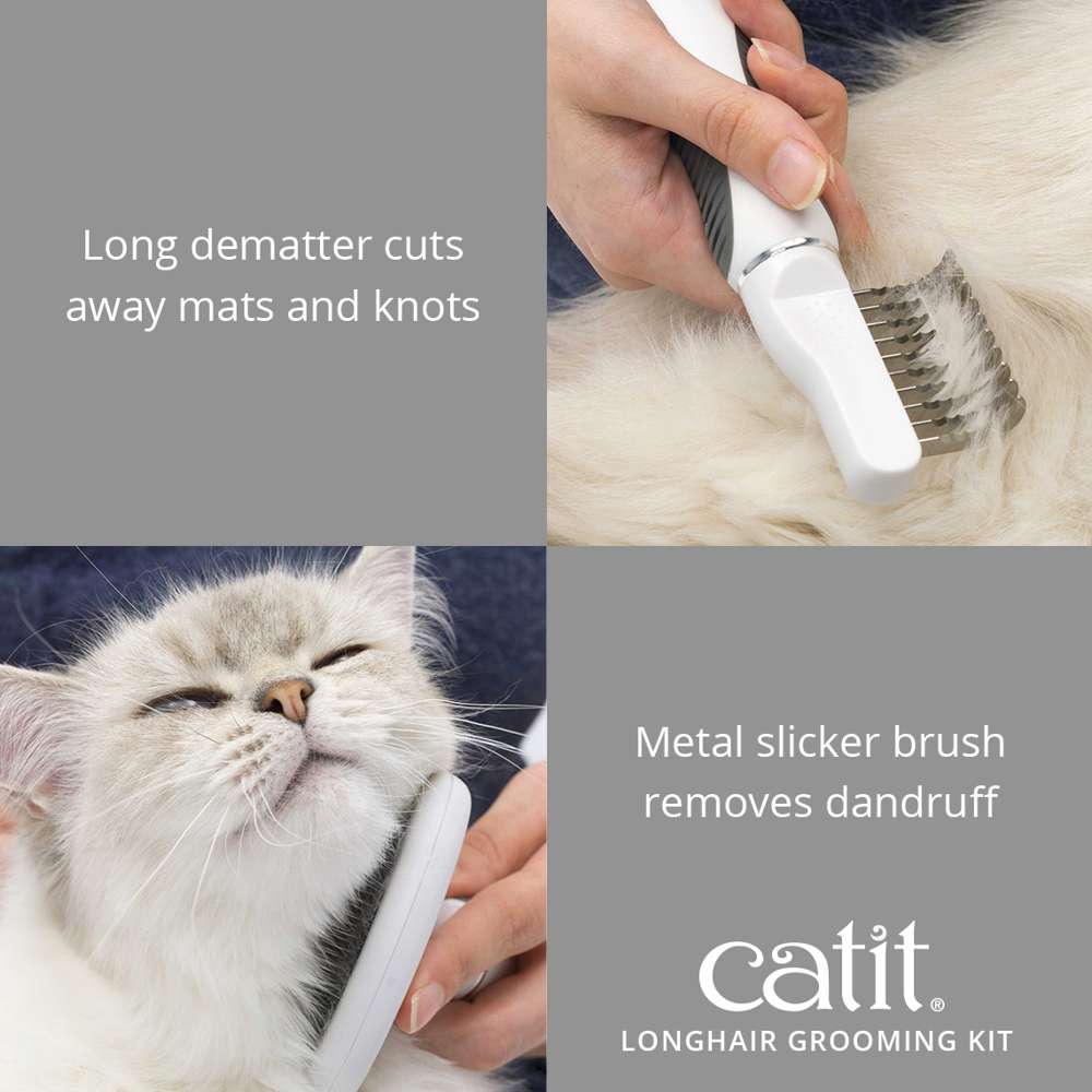 How to Groom Cat Razor