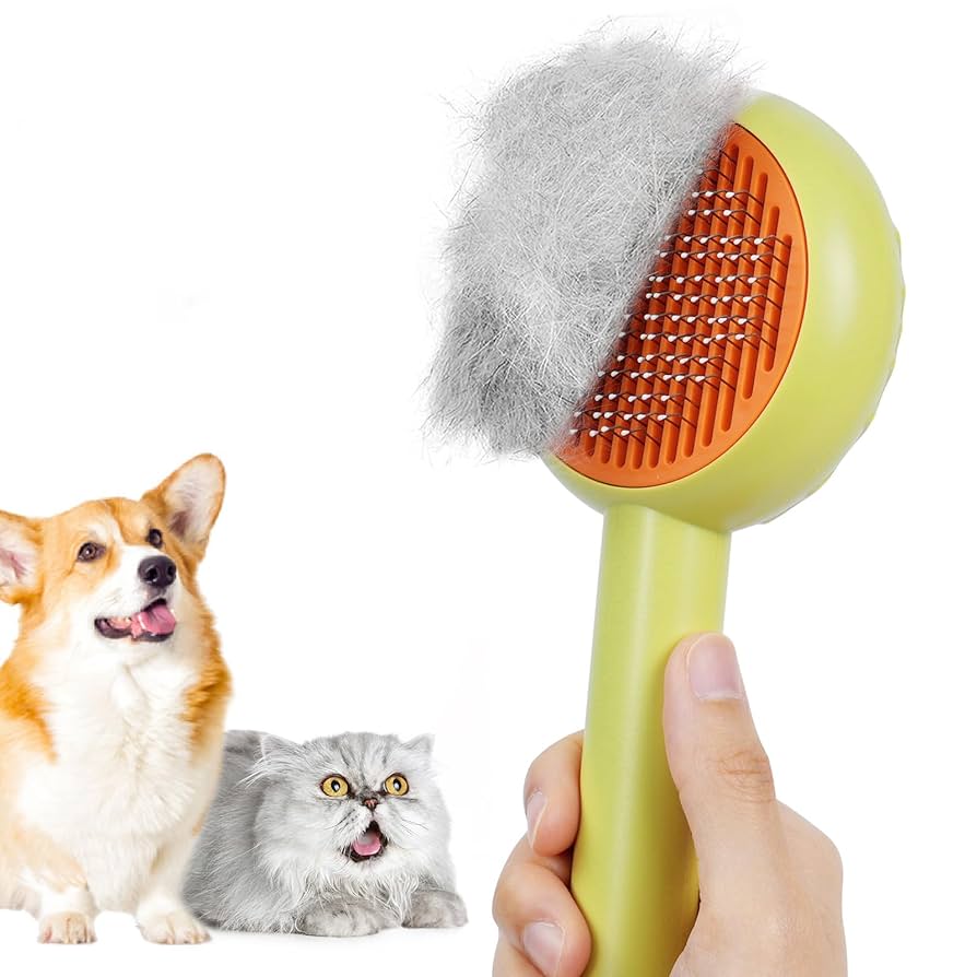 How to Groom Dogs/Cats: Expert Tips for Perfect Pet Care