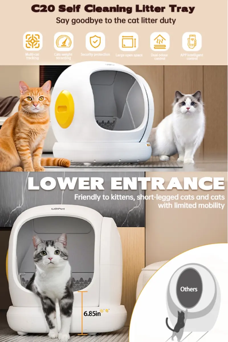 How to Introduce a Cat to a Litter Box