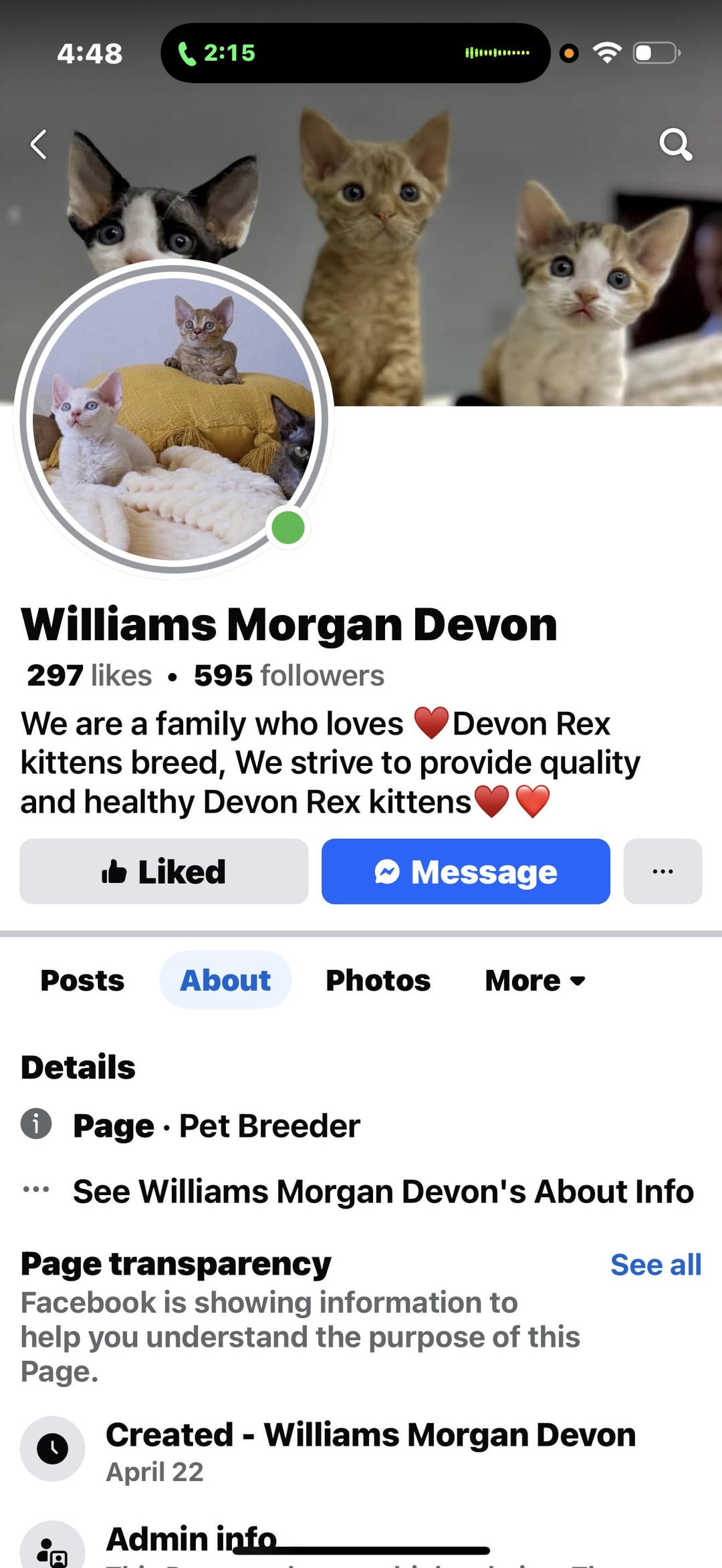 How to Know If Cat Breeder is Legit