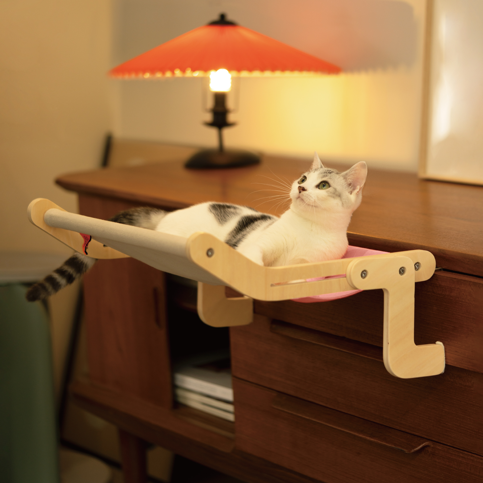 How to Know What Type of Toy Your Cat Likes