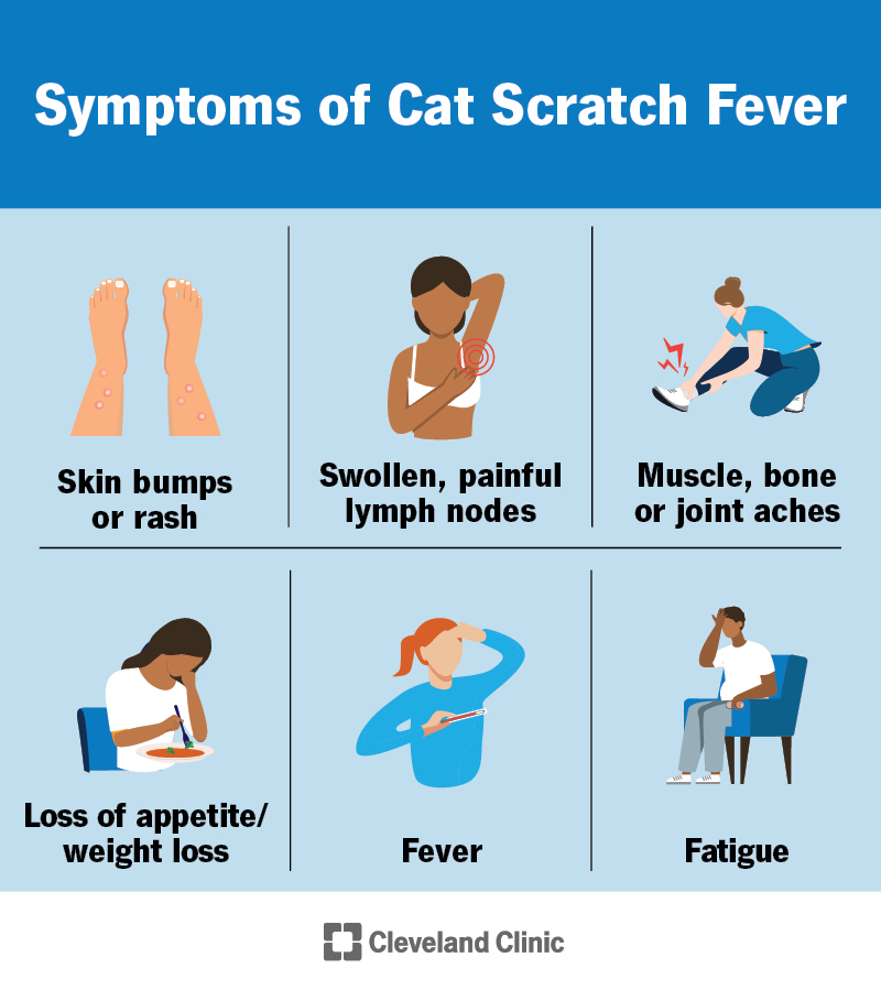 How to Maintain Health And Manage Cats Cry Syndrome
