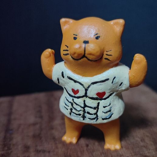 How to Make a Cat Toy Out of Tshirt