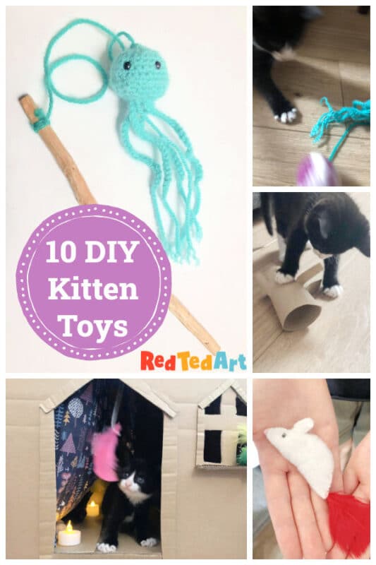 How to Make a Easy Homemade Cat Toy