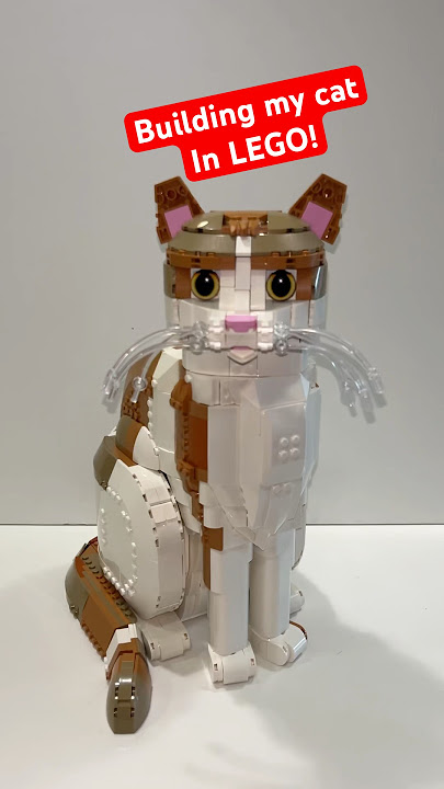 How to Make a Lego Cat Toy: Easy DIY Fun for Your Feline