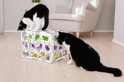How to Make a Mega Cat Puzzle Toy: Ultimate DIY Guide