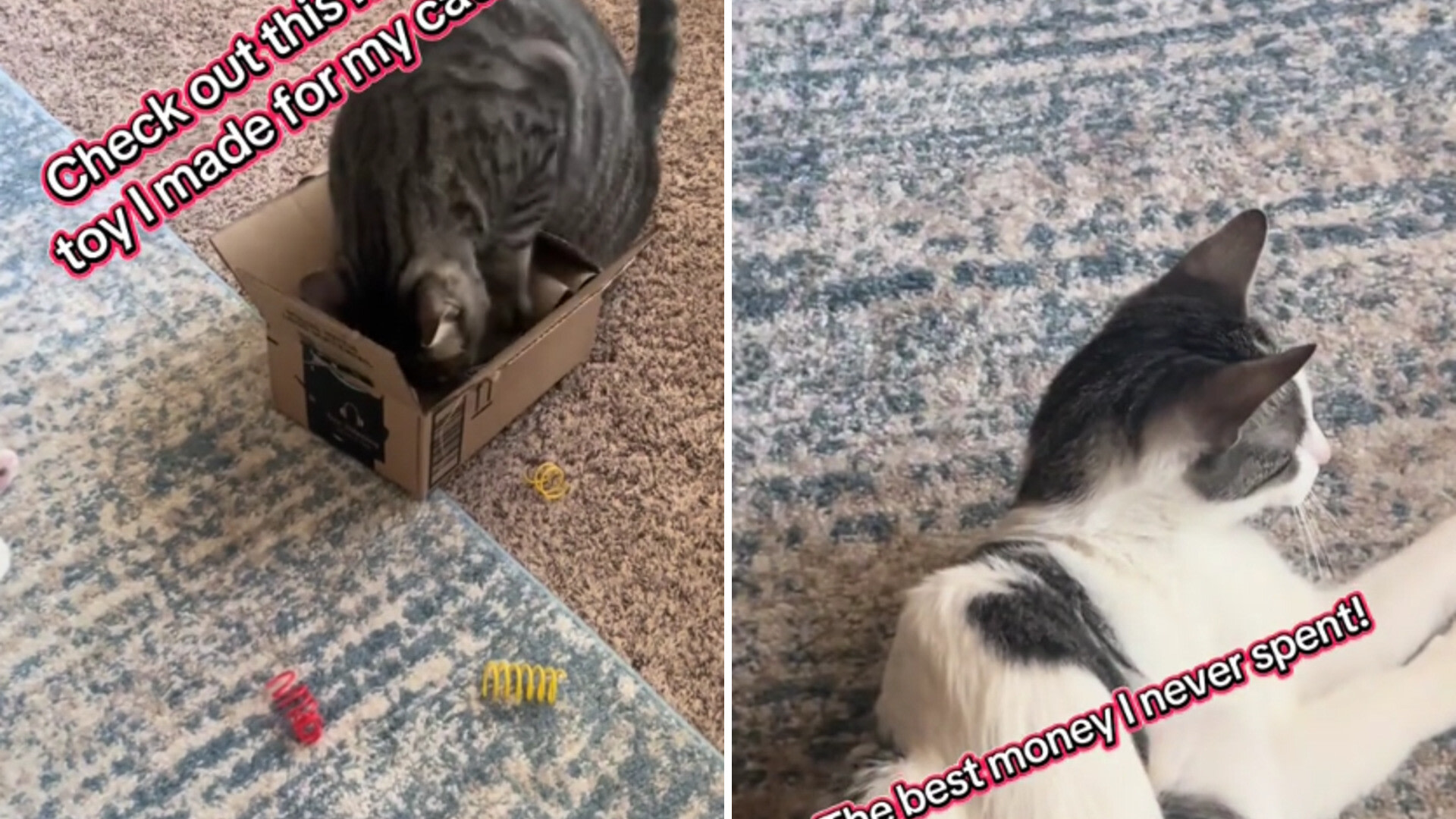 How to Make a Toilet Paper Roll Cat Toy