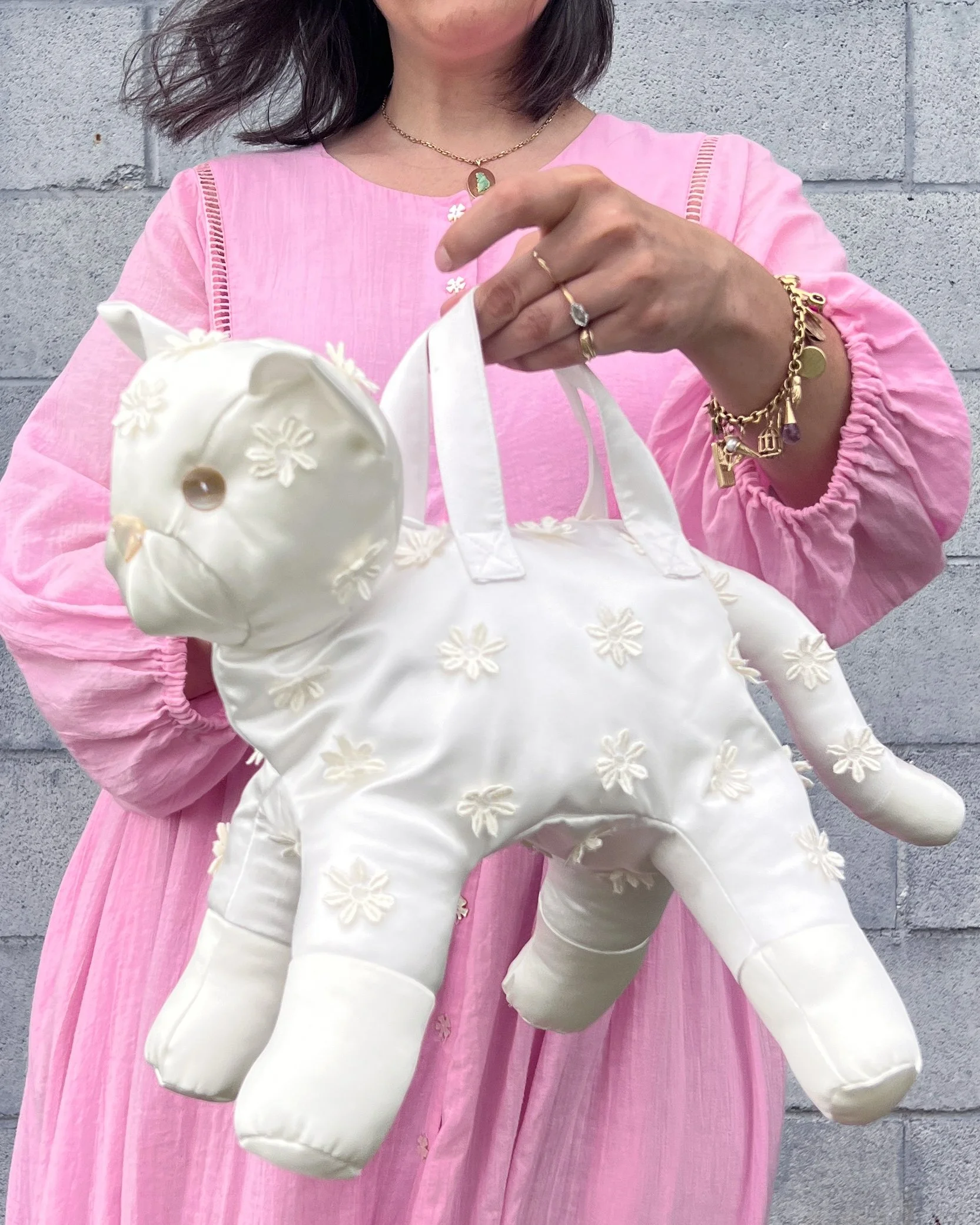 How to Make a Toy Cat Come to Life