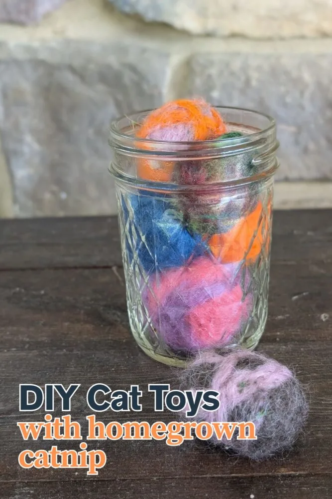 How to Make Catnip Cat Toy: Easy DIY Steps for Happy Cats