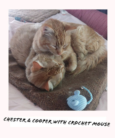 How to Make Mouse Toys for Cats