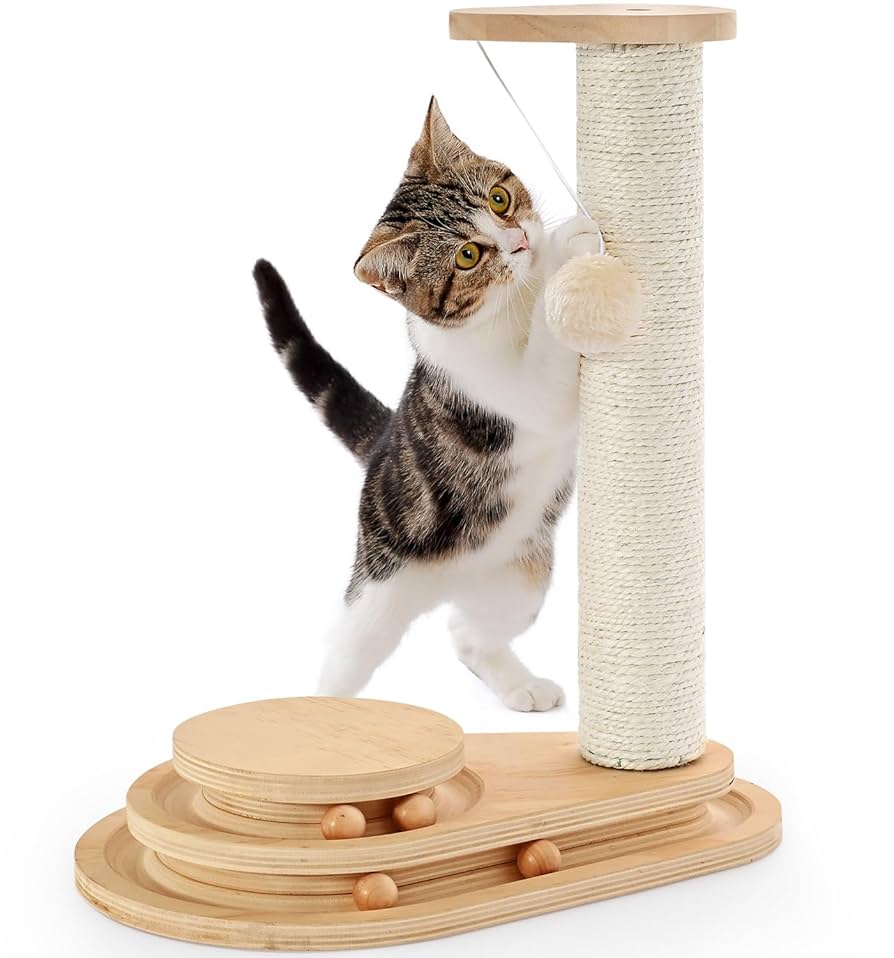 How to Make Scratch Toys for Cats: Easy DIY Fun Ideas