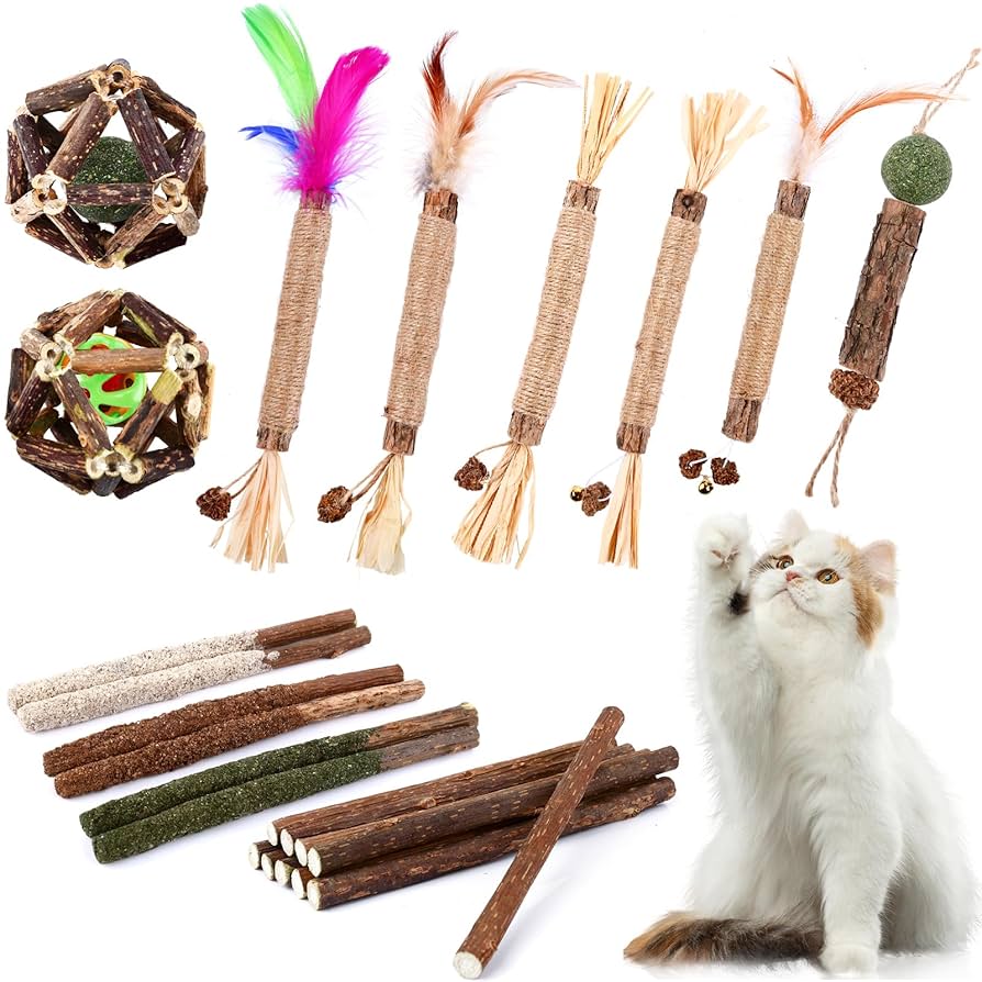 How to Make Toy for Cat With Grass And Sticks
