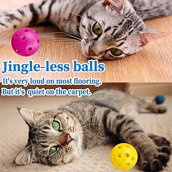 How to Play With a Cat With No Toys