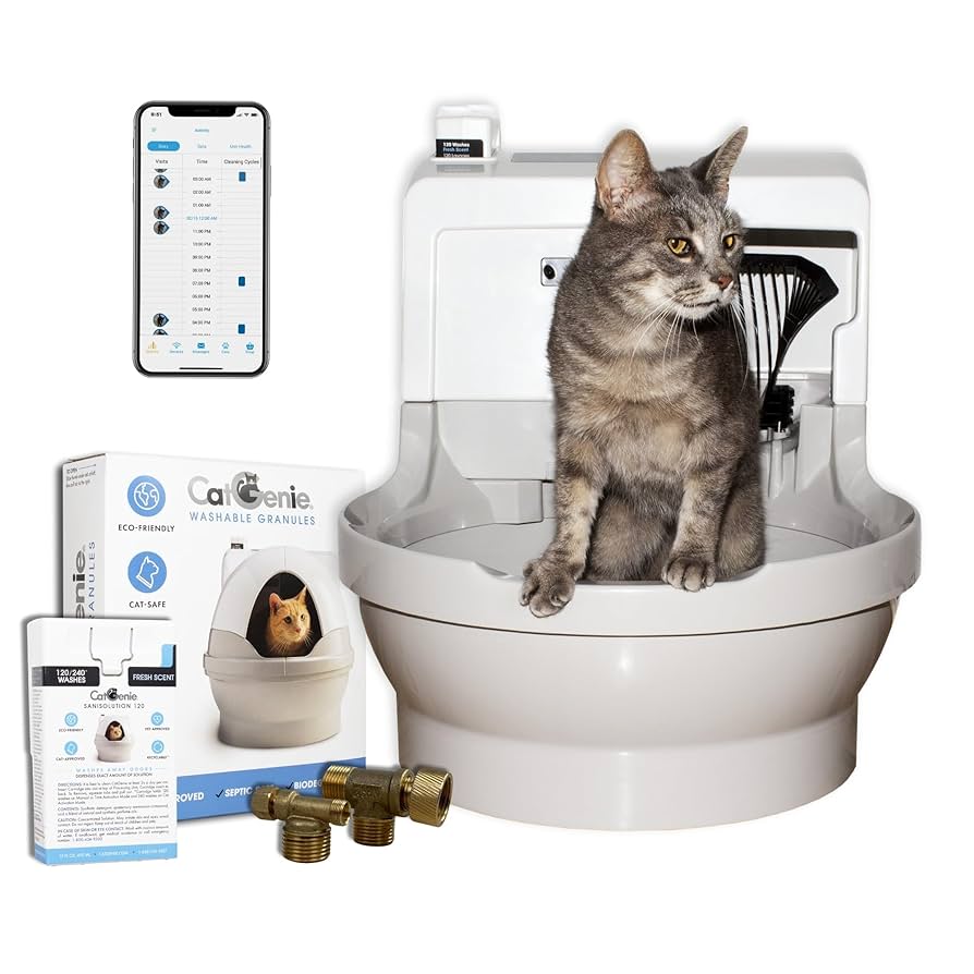 How to Potty Train a Cat With a Septic Tank