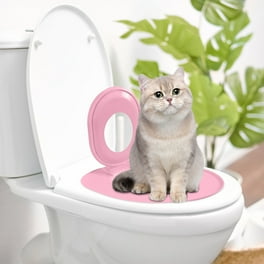 How to Potty Train Cat Toilet: Easy Steps for Success