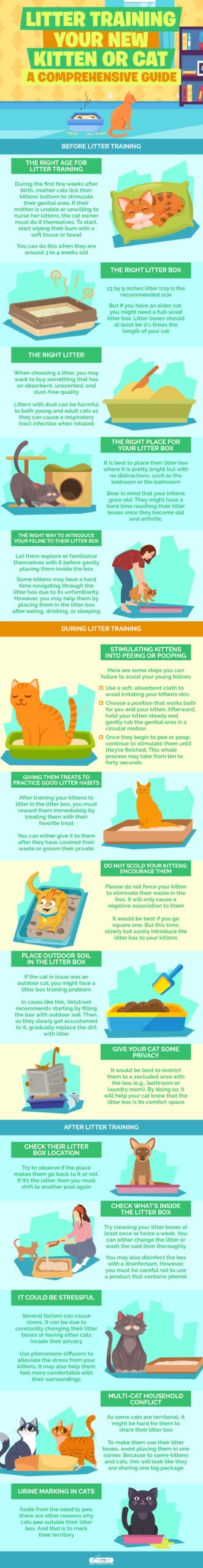 How to Re Potty Train Your Cat: Easy Steps for Success