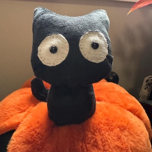 How to Reshape Your Cute Plush Cat Toy