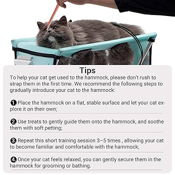 How to Restrain a Cat While Grooming: Safe & Stress-Free Tips