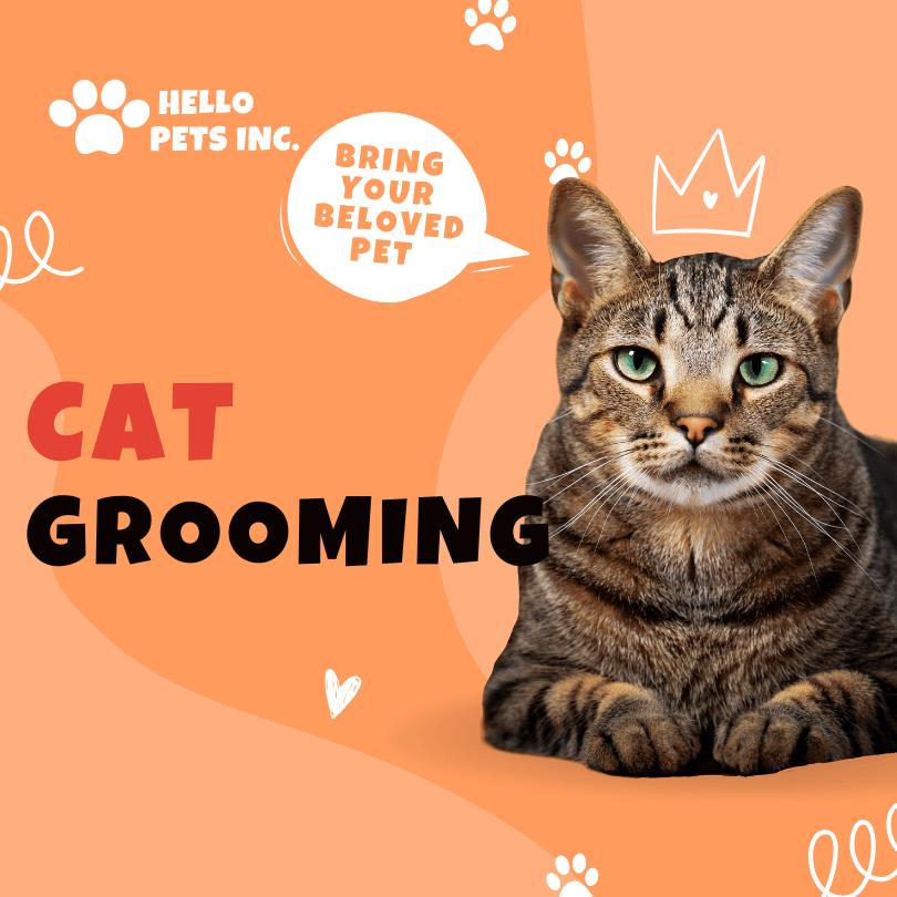 How to Stop Cats from Excessive Grooming: Expert Tips & Solutions