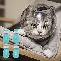 How to Stop Cats That Over Groom