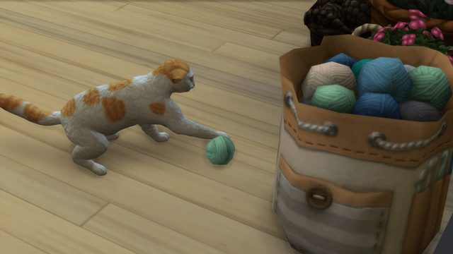 How to Teach Cat to Hunt Sims 3 Without Toy