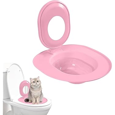 How to Train a Cat for Potty: Easy Steps for Quick Success