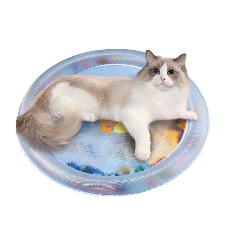 How to Turn a Mattress into a Cat Toy