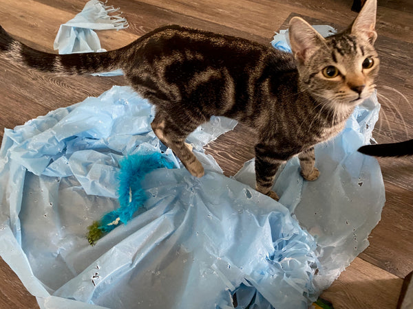 How to Wrap a Cat Toy With Carpet
