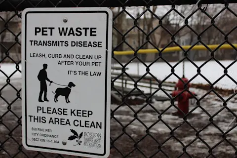 Is Cat Poop a Health Hazzord