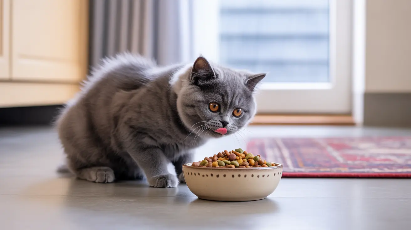 Is It Okay If an Adult Cat Eats Kitten Food? Expert Insights