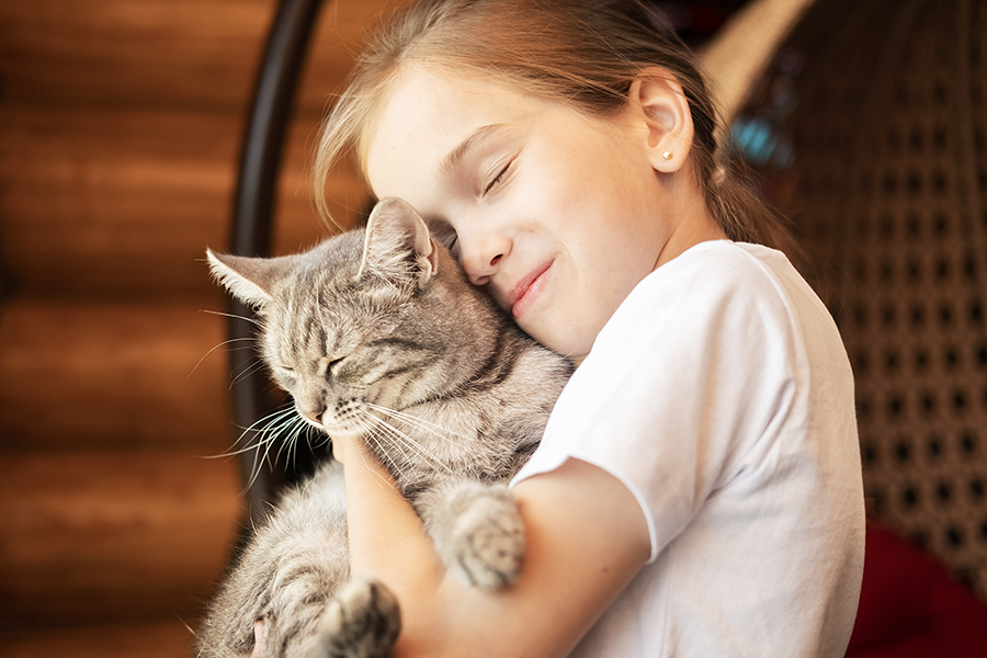 Is Petting My Cat Good for Her Health: Surprising Benefits Revealed
