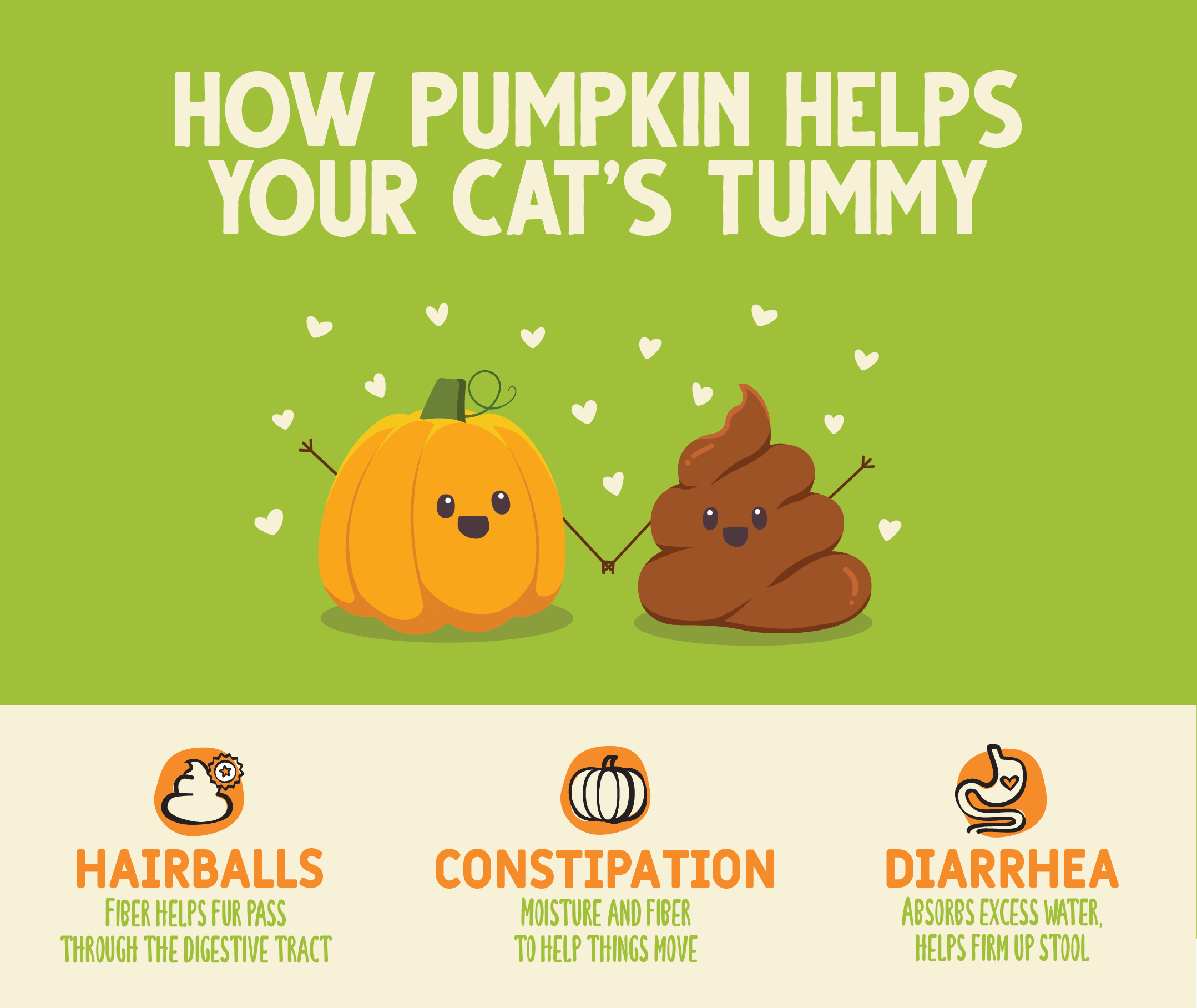Is Pumpkin Good for Cats Cat Health