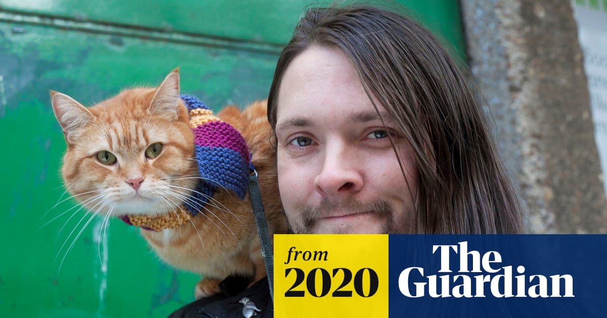 Is the Toy Story Cat Real