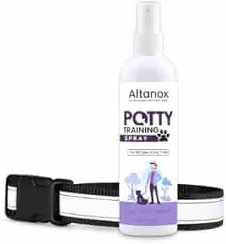 Is There a Potty Training Spray for Cats: Effective Solutions Revealed