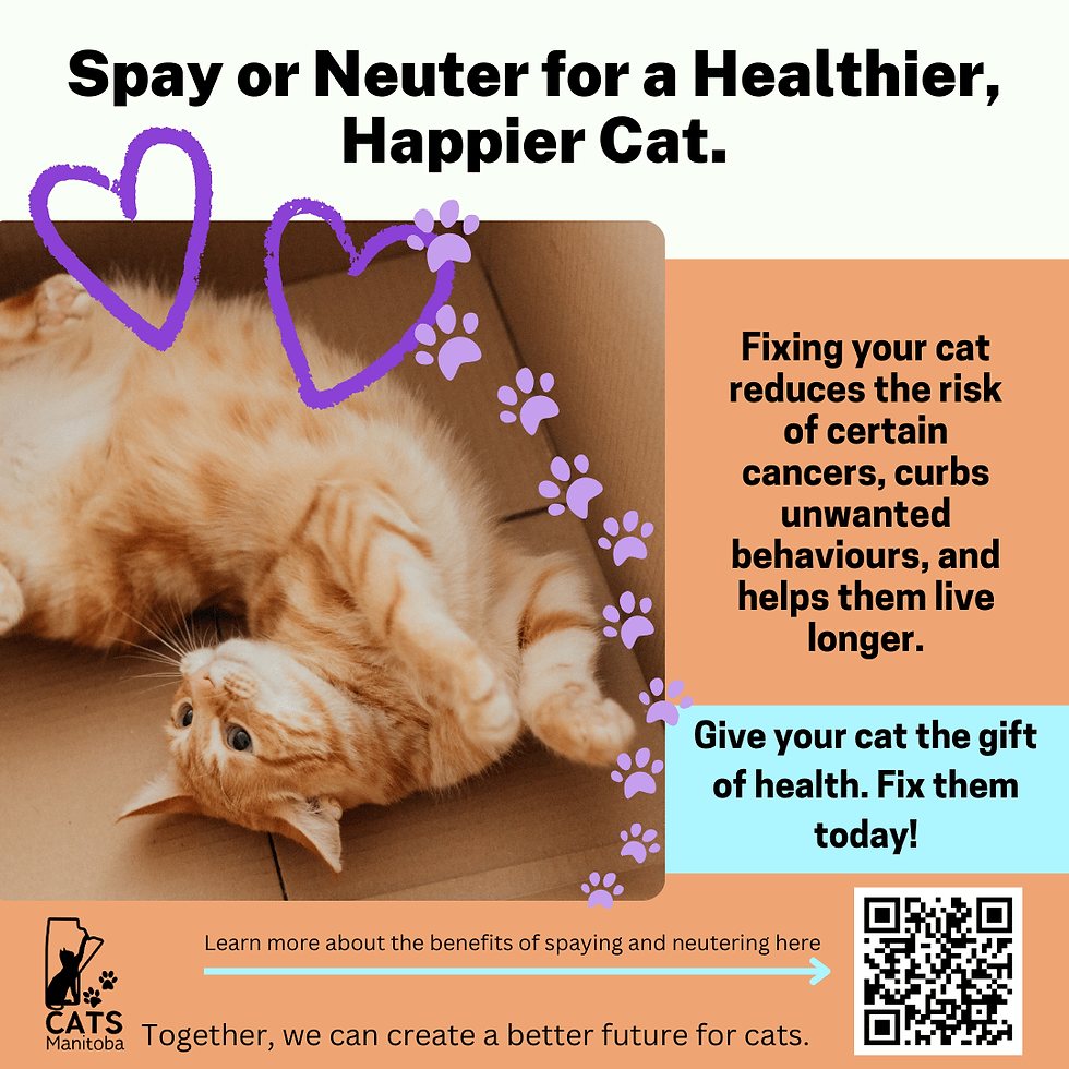 Is There Health Benefits to Fixing a Cat: Surprising Facts Revealed