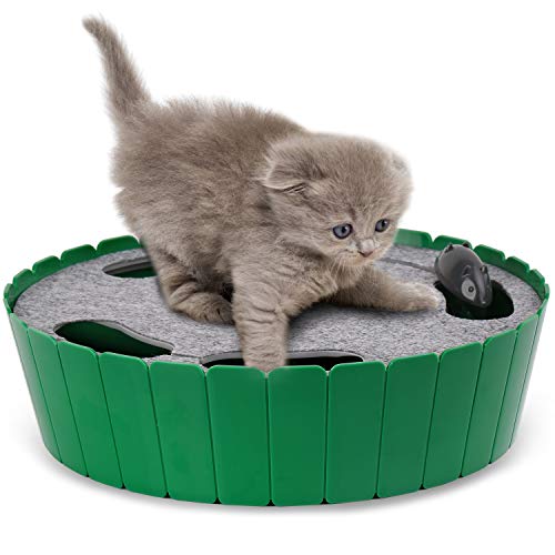 Pets Know Best Pop N' Play Cat Toy