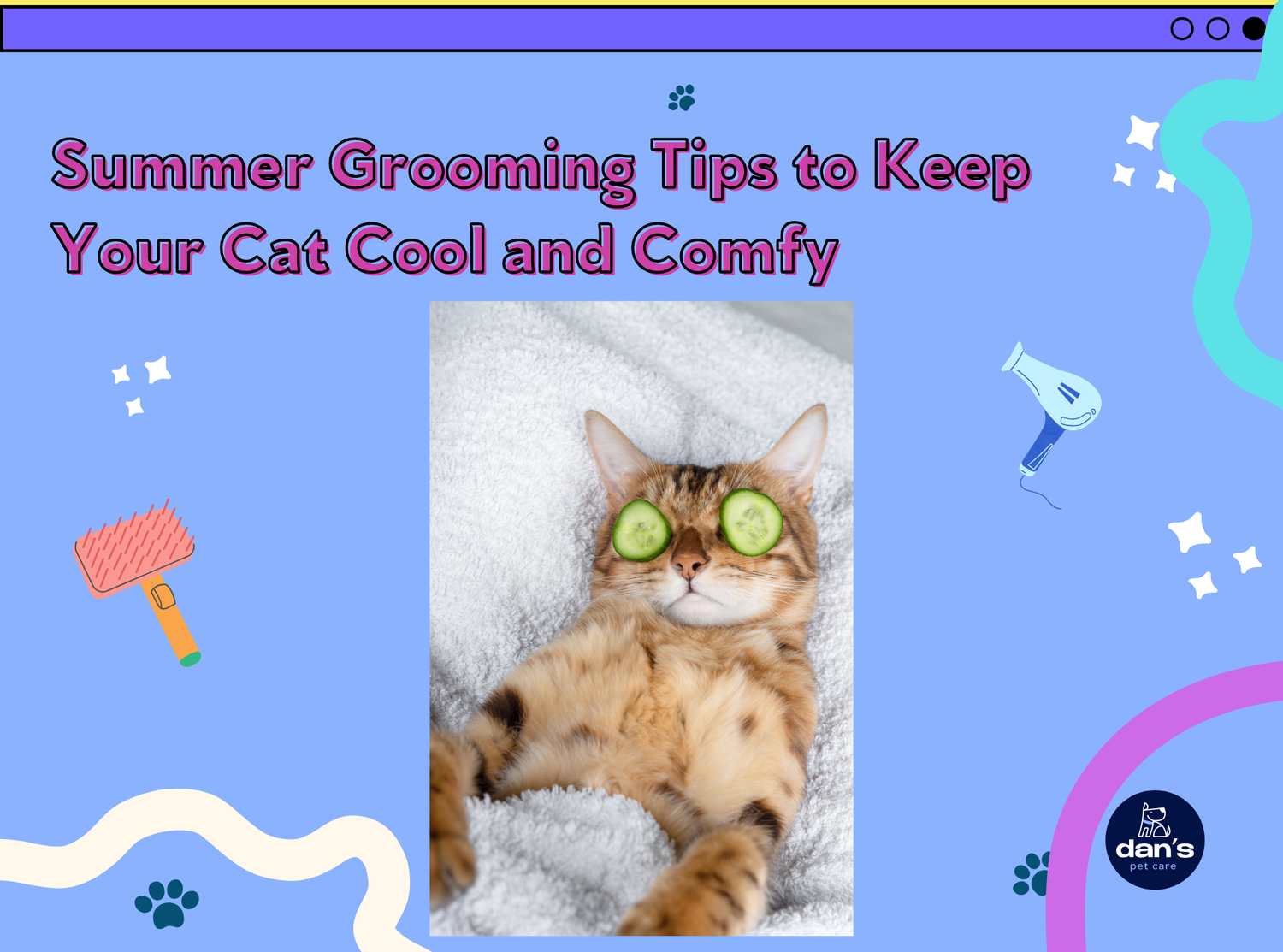 Should I Pay Tips on Cat Grooming: Essential Etiquette Guide