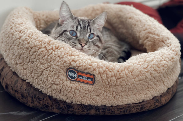Should I Wash My Cats Toys: Essential Tips for Pet Health