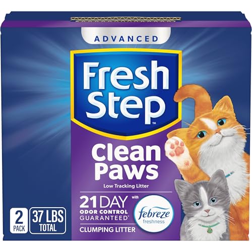 The Best Non Tracking Cat Litter for Clean Paws and Odor Control