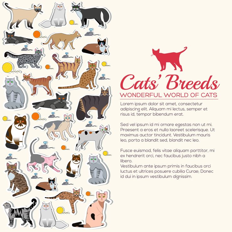 What are All the Cat Breeds in the World: Ultimate Guide 2025